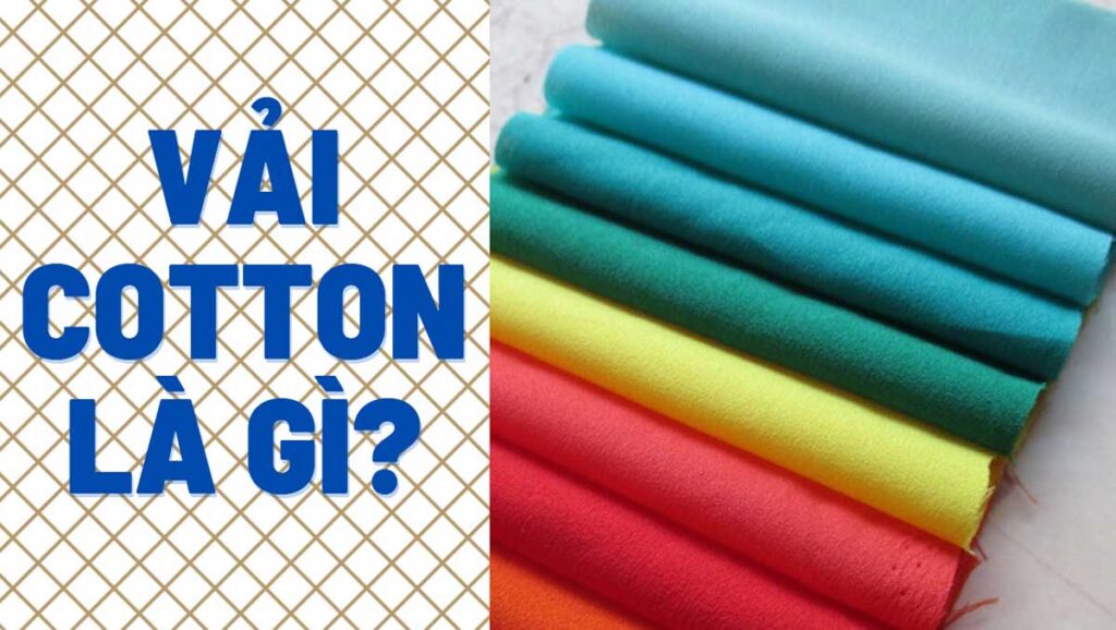 Vải Cotton Là Gì? Đặc Điểm và Ứng Dụng Trong Ngành May Mặc